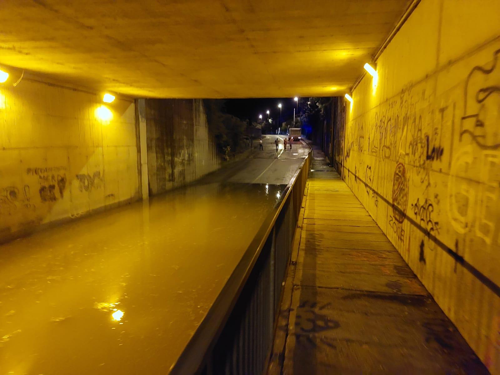 Immagine per Maltempo abbattuto su Gorizia, oltre 20 interventi in provincia